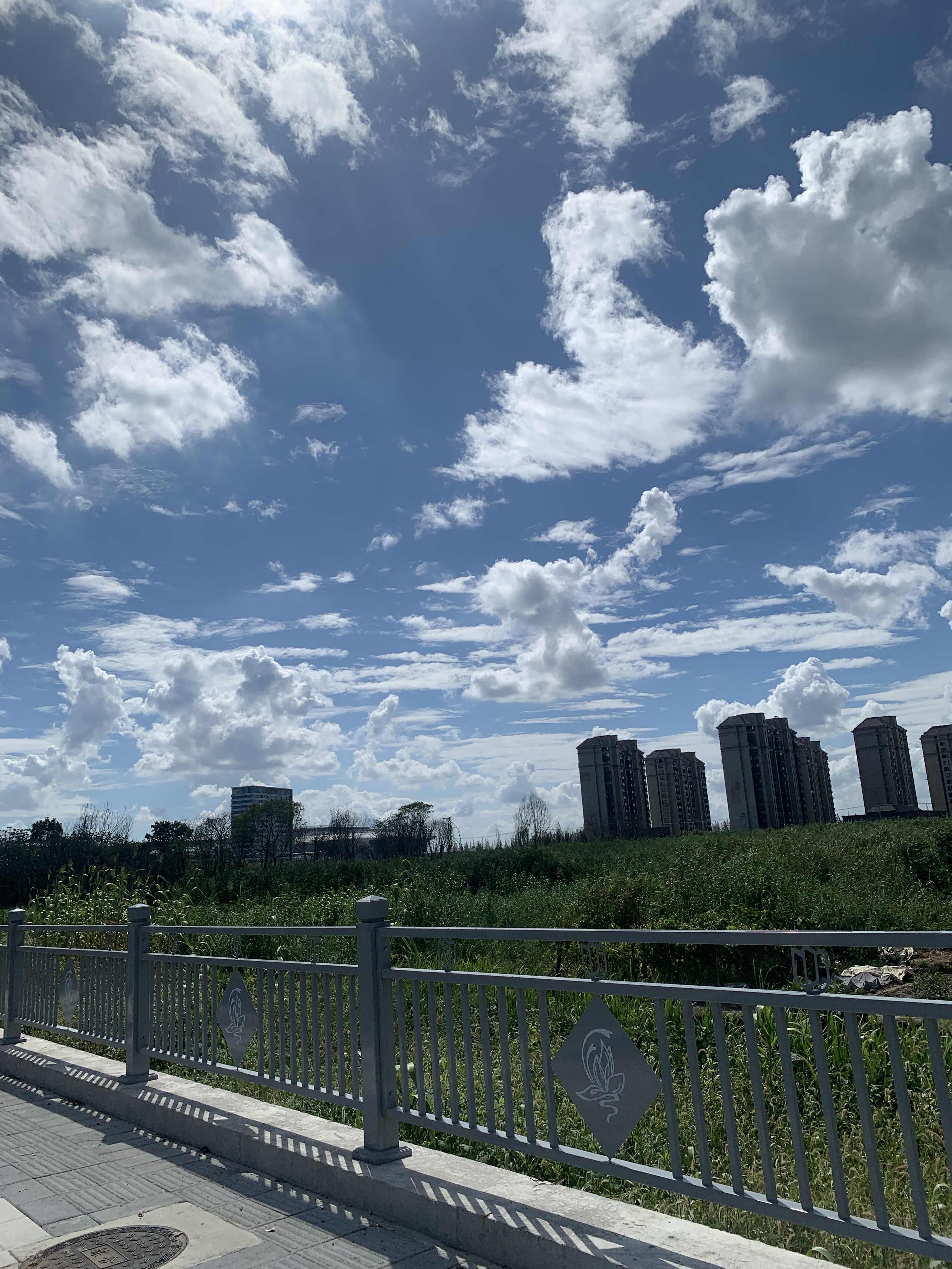 超评助手：掌握支付宝薅羊毛技巧，轻松获取现金红包和黄金收益！