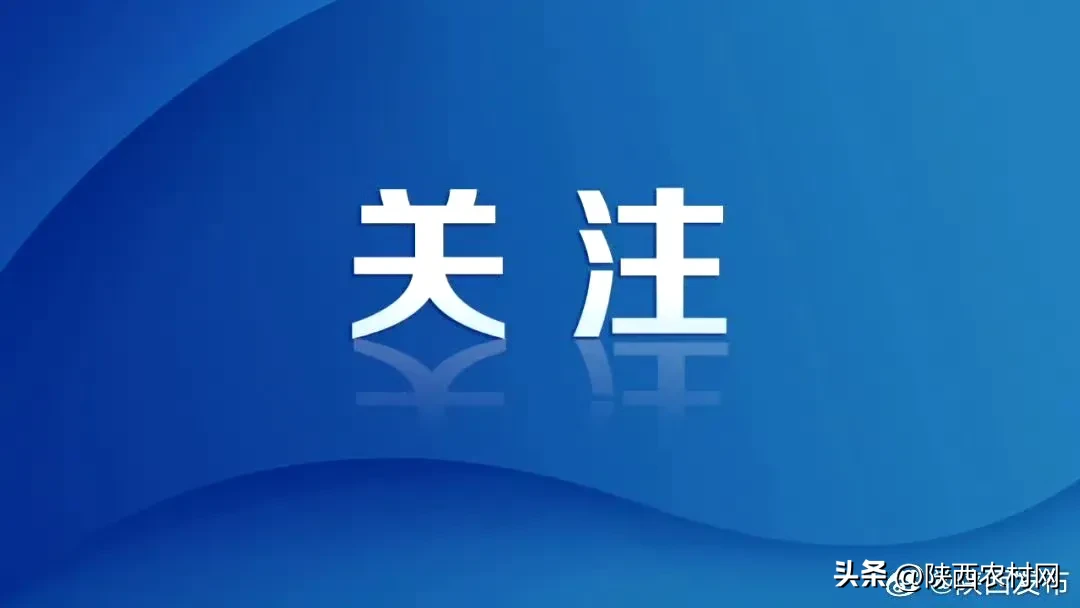 东风助手怎么用：陕西首单跨境电商零售进口税款担保电子化业务成功落地提升通关效率