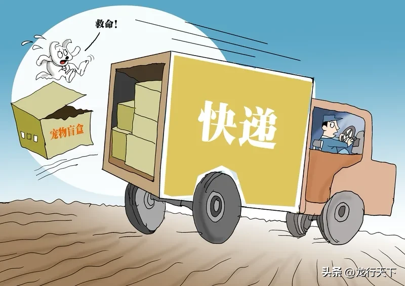 YY助手：有效投诉申通快递和中通快递的方法与步骤指南