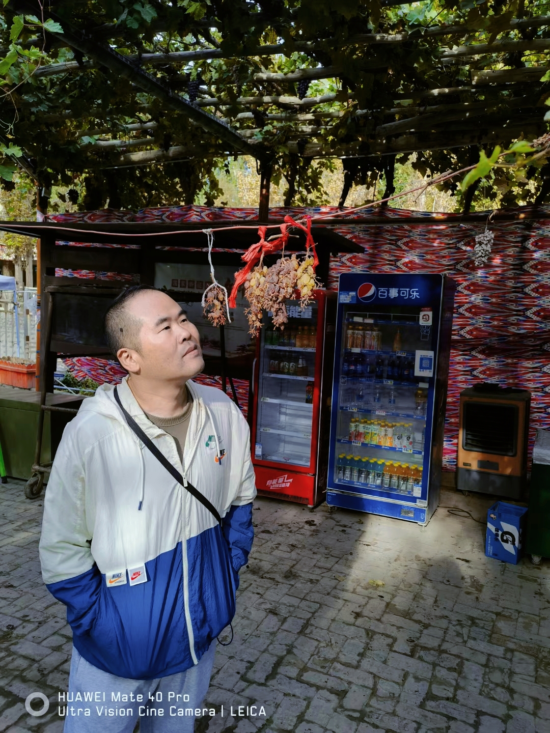 创优助手：探索人性与精神遗传，从认知到梦境的思考