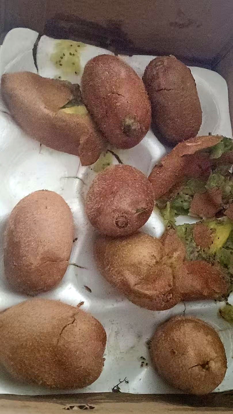 多单助手：拼多多一秒退款策略，老人购物更放心的秘密