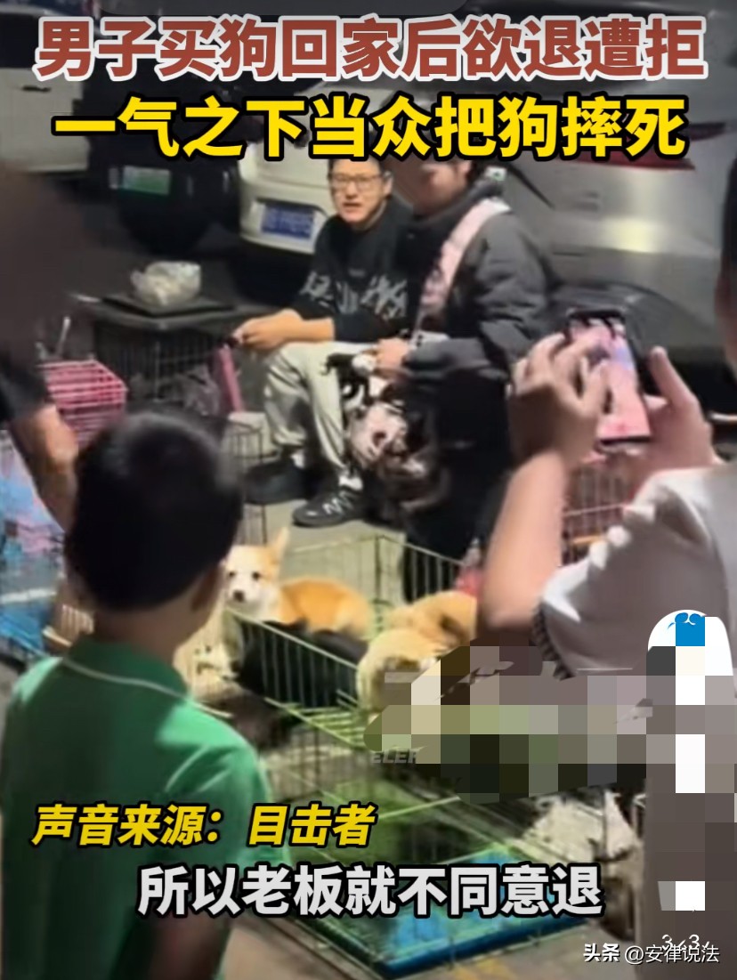 小G助手拼多多：男子当街摔死小狗事件，法律分析与公众反响