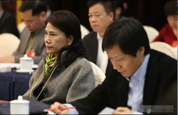 爆款助手：郎咸平，董明珠海归论引发争议，能力才是关键！