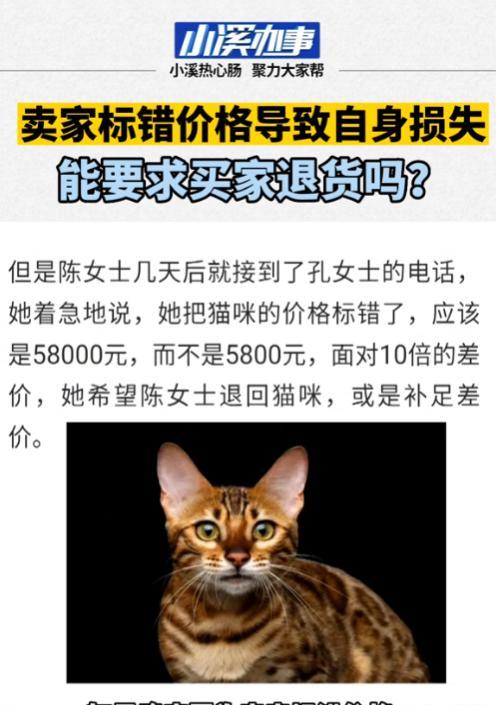 乐多多助手：女子5800元购孟加拉猫被要求退货，卖家错误定价引发争议