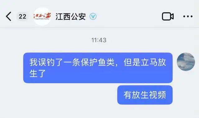 CC助手下载：江西钓鱼人意外捕获国家一级保护的长江鲟，误捕后主动申报受赞赏