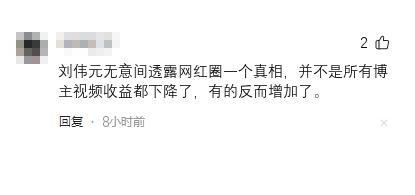 快火助手拼多多：刘伟元视频收益翻倍，揭秘网红圈背后的真实故事与坦诚态度