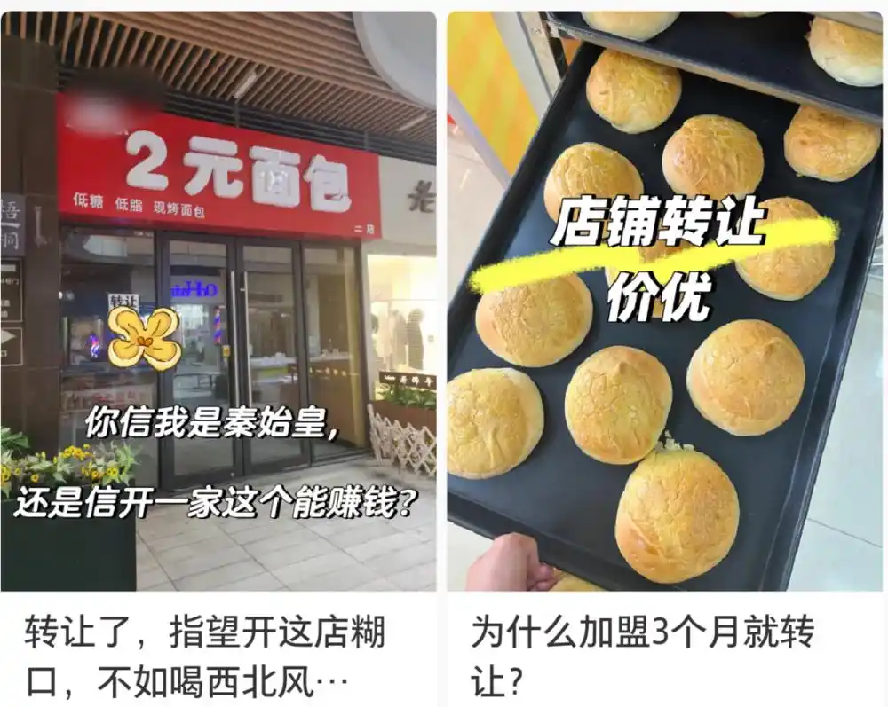 狗宝助手：2元面包店创业神话崩塌，低门槛背后的真相与血泪控诉
