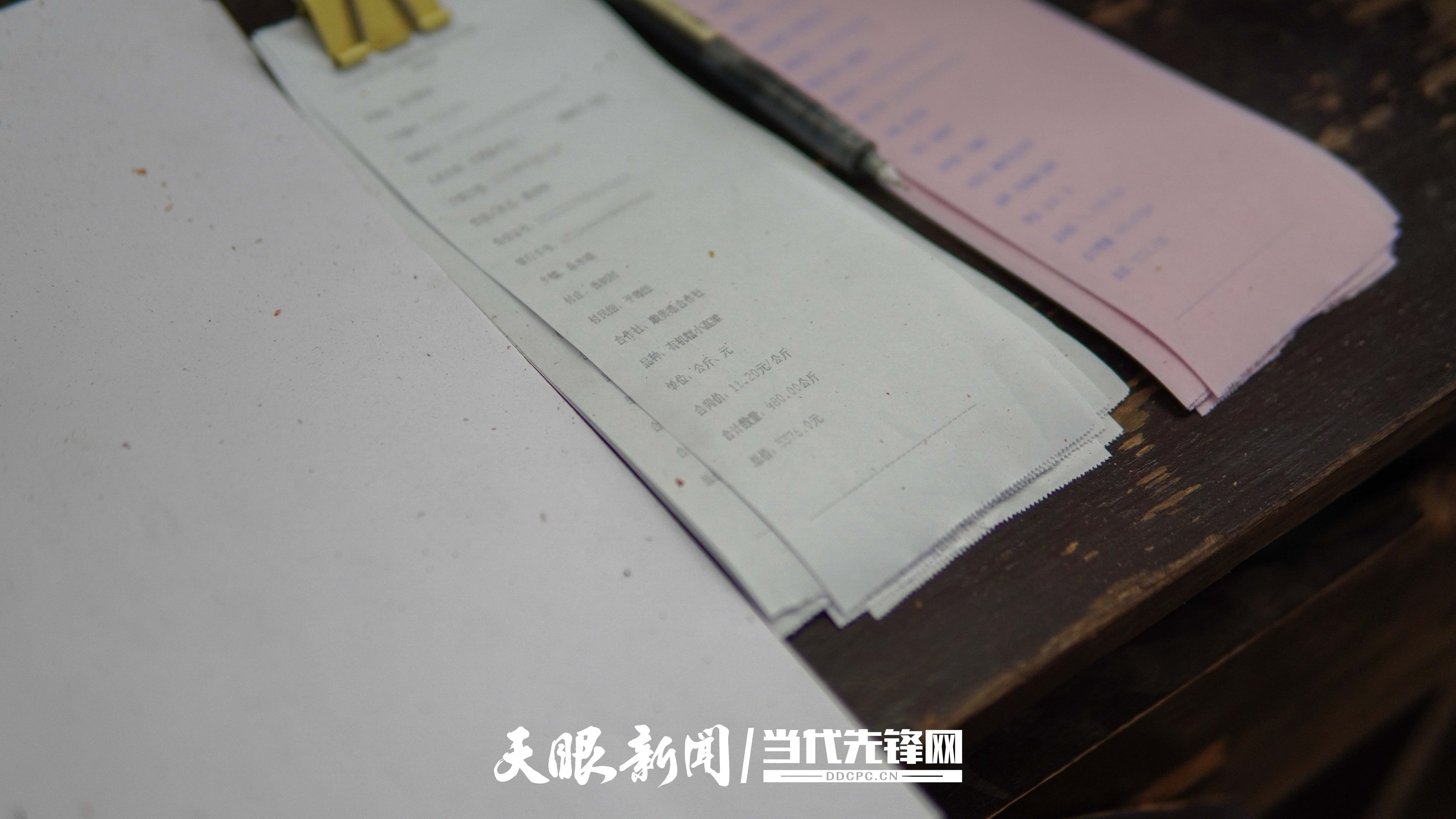 小Q助手开团软件：2025年“中国农民丰收节”，习水县高粱订单农业助力农民增收致富
