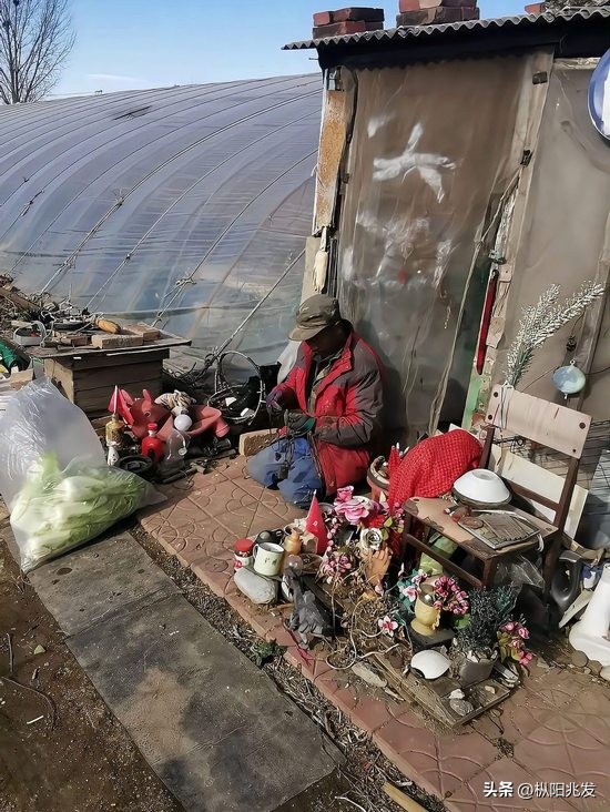 易出评开团软件：残疾人权益保障新政策，助力生活改善与就业增收措施解析