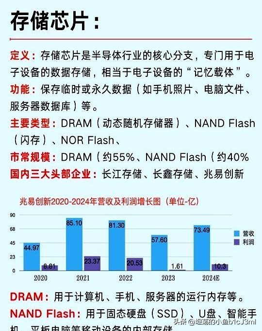 熊猫多多助手：国产存储芯片崛起，长江存储与合肥长鑫如何打破进口依赖