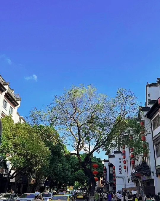 小Q助手入口：如何有效预留广告位？自媒体成长经验分享与拍摄技巧揭秘
