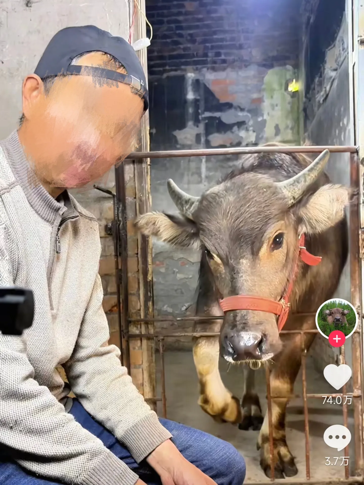 小C助手：最美通缉犯当主播引争议，网络直播与刑满释放人员的道德底线