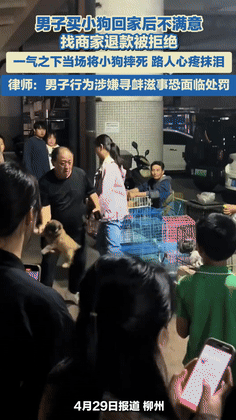 易拼团补单软件：广西男子夜市宠物摊位买狗退货不成当场施暴，网友愤怒呼吁严惩