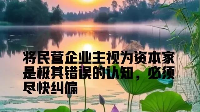 多评助手怎么用：资本家与企业家的争论，私营企业主的真实身份与社会角色