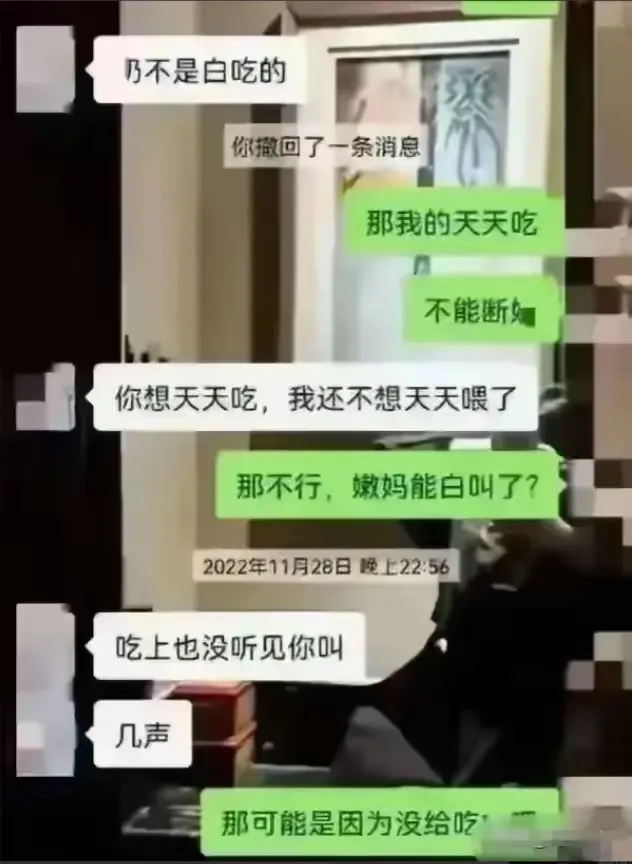 DD助手入口：某县“吸奶”书记露骨聊天记录曝光，公职道德与责任引发热议！