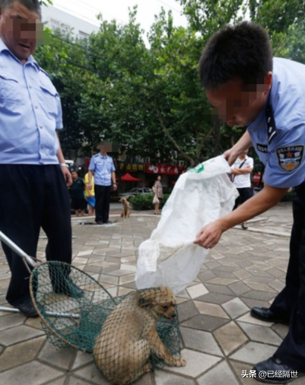 多多出评助手：上海小区悲剧，父亲因冲突意外身亡，母子被判10年，呼唤社会责任