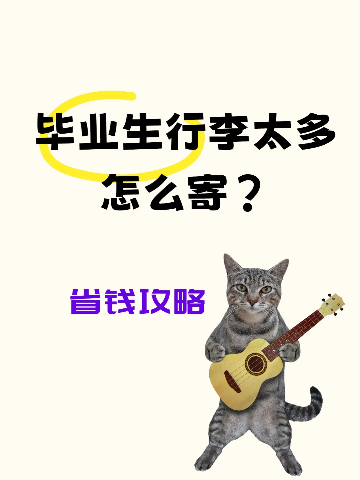 小评评助手：毕业季行李寄送省钱秘籍，选择快递、打包技巧与运费比价攻略！