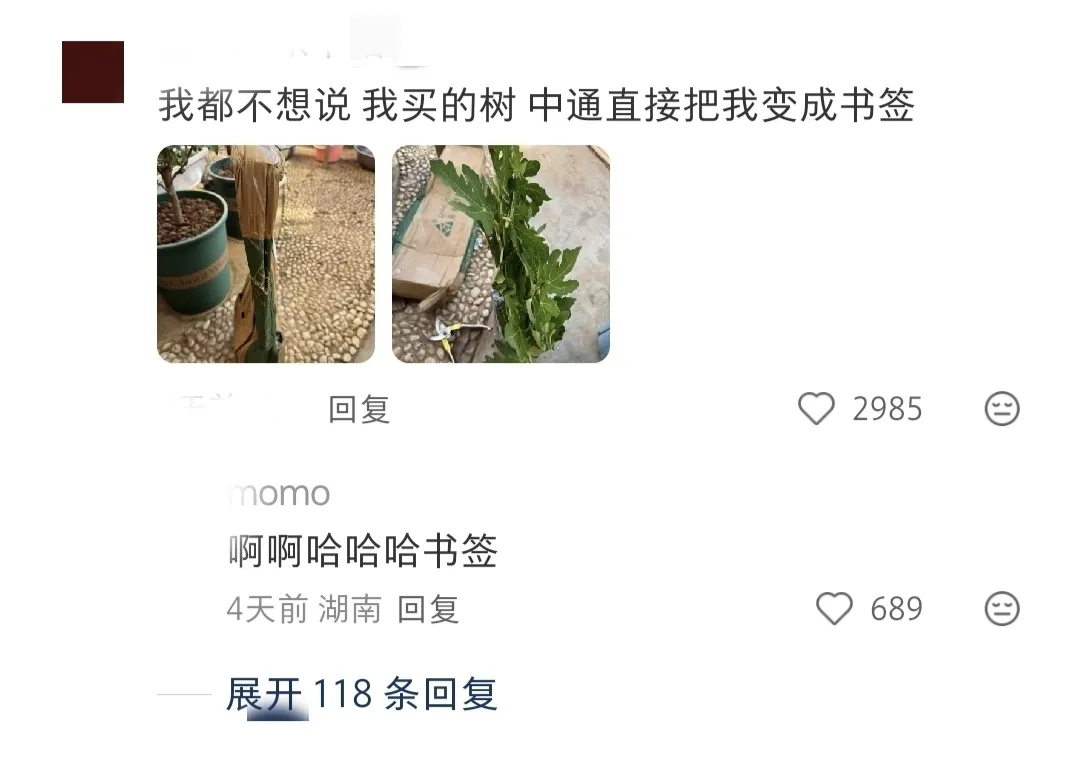 快火助手下载安装：快递暴力运输奇闻，拆盲盒般的惊吓与搞笑体验！