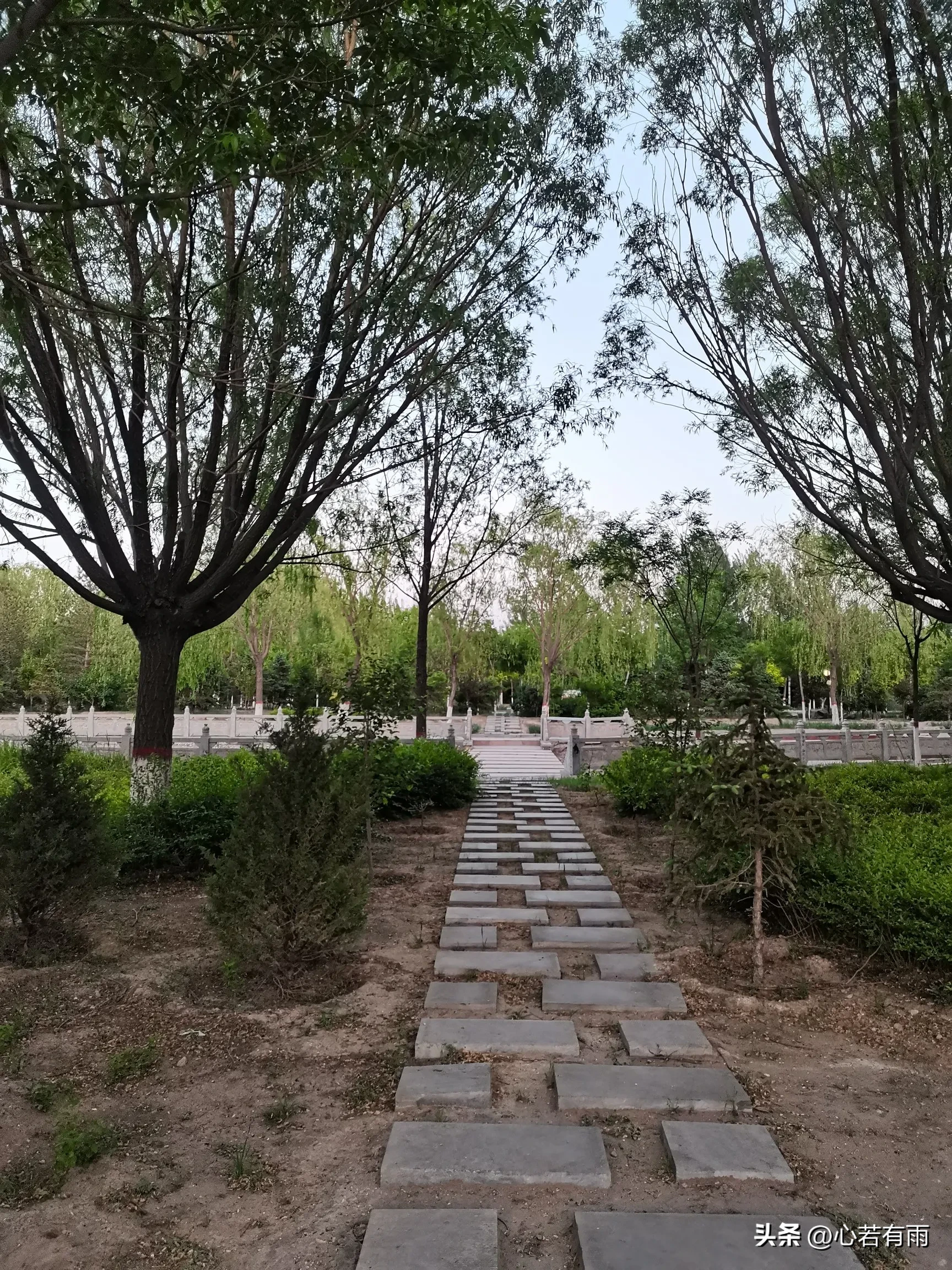 琦玉助手：网络直播带货崛起，实体店面临挑战，人际关系与经济的转变