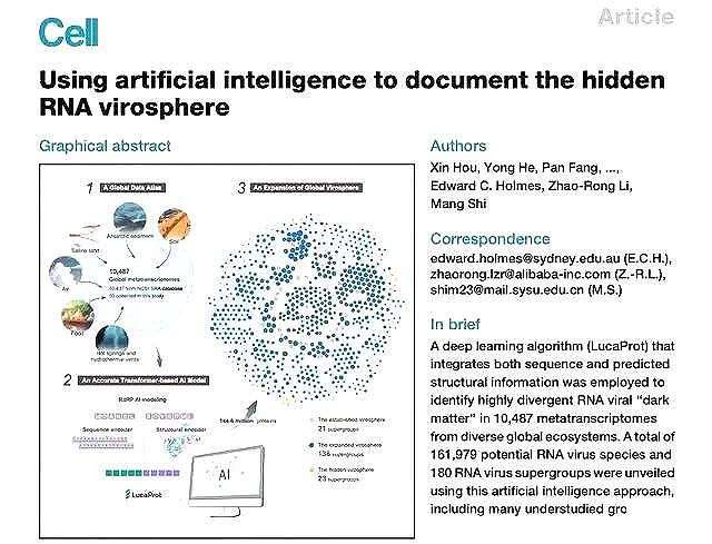 多多自动批发：阿里巴巴与高校合作，借AI揭示180个超级病毒群体与新RNA病毒发现