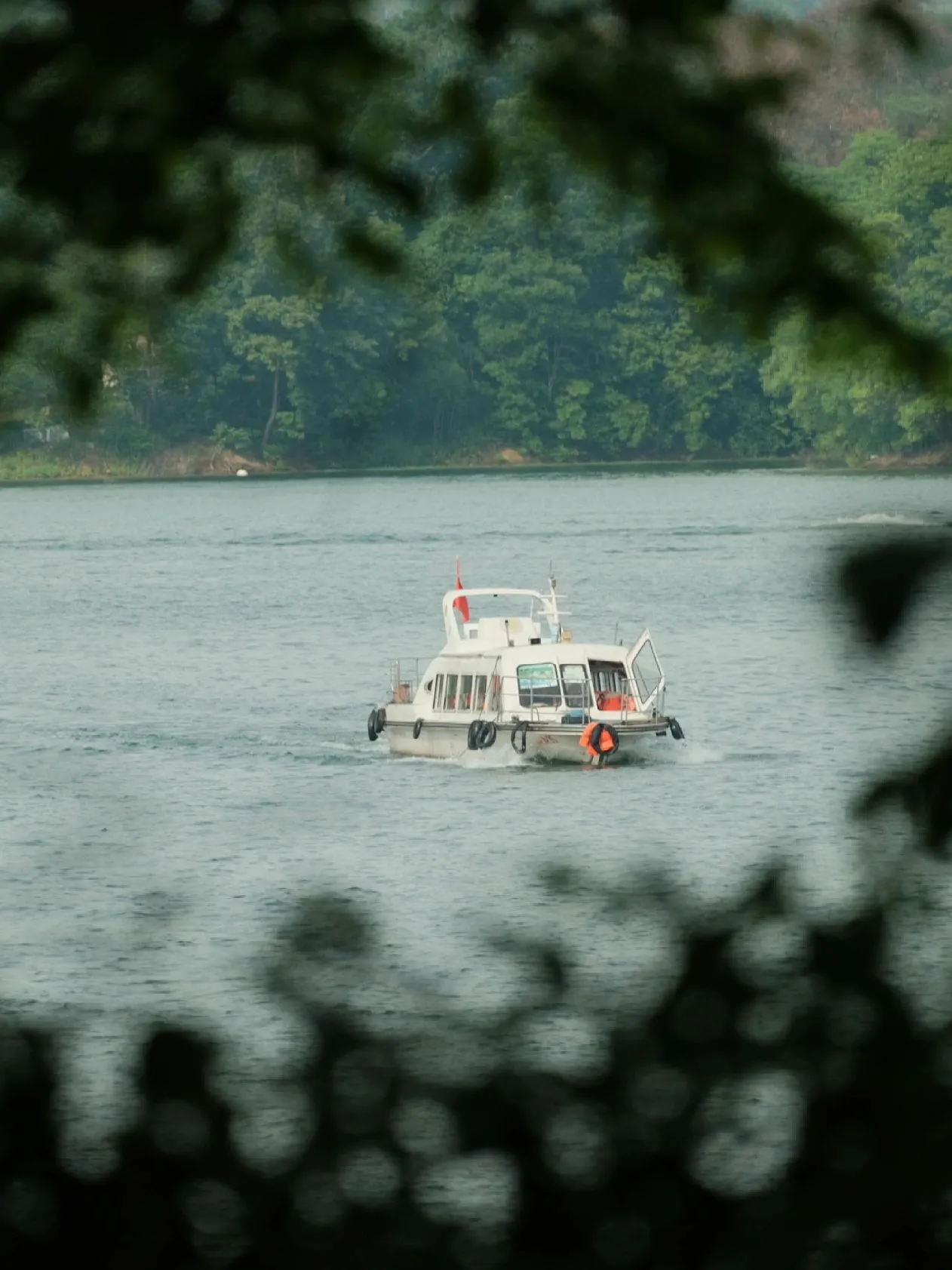 番茄管家软件：建议两桶油专注原油储备 民企参与零售能否降低油价？