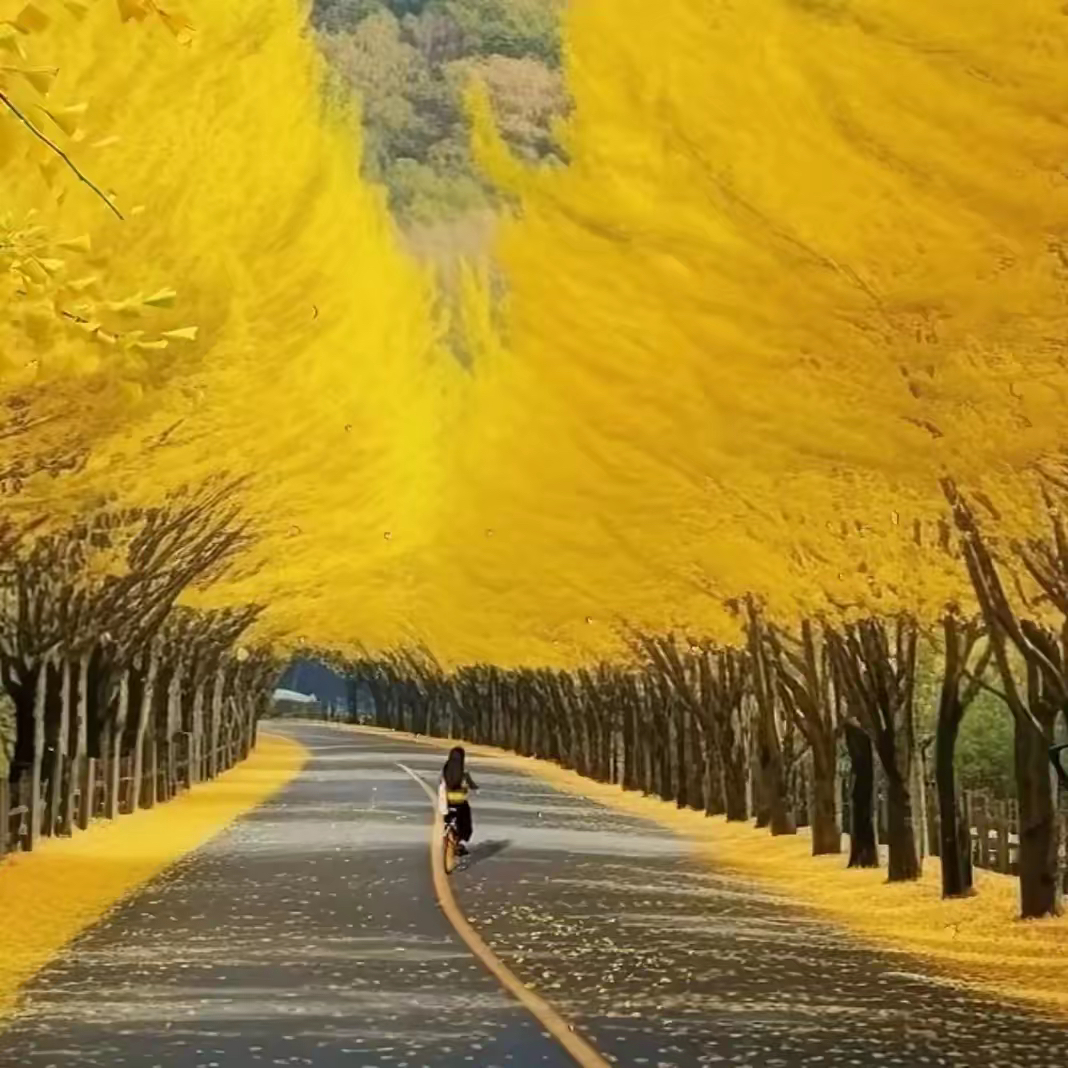 增强助手：父母生孩子的真实动机，从无私奉献到功利投资的深刻反思