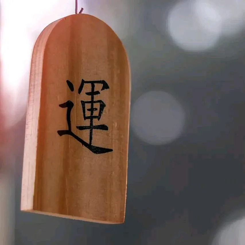 易单助手使用方法：如何抵御演算法漂移，夺回信息接收的主动权？