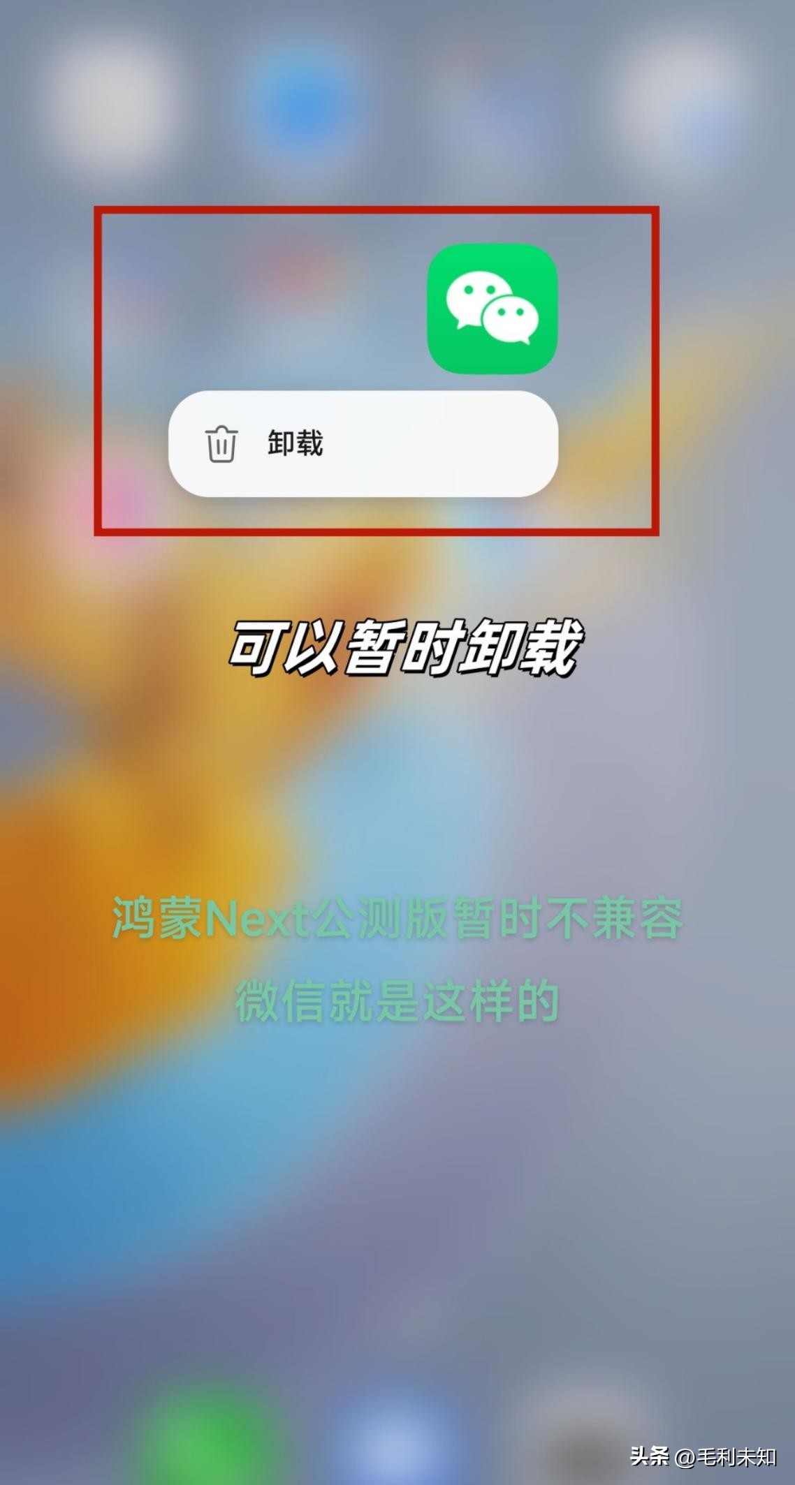 小G助手教程：鸿蒙公测版对普通用户的影响，微信仍是日常生活的首选