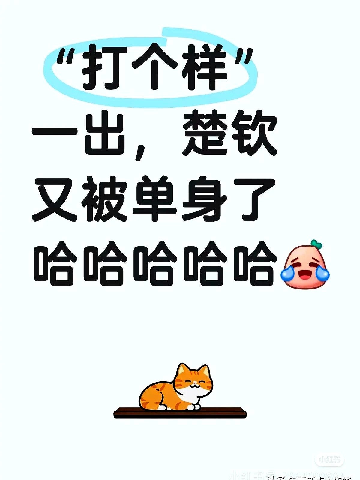 潜力鸭教程：顶流小生的低调爱情，温柔细节比热搜更动人