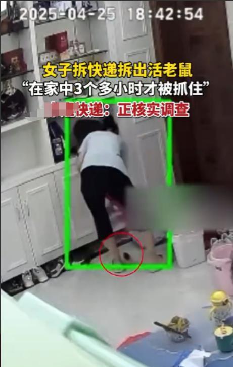 51助手官网：深圳女子网购连衣裙惊现老鼠，快递安全隐患引关注