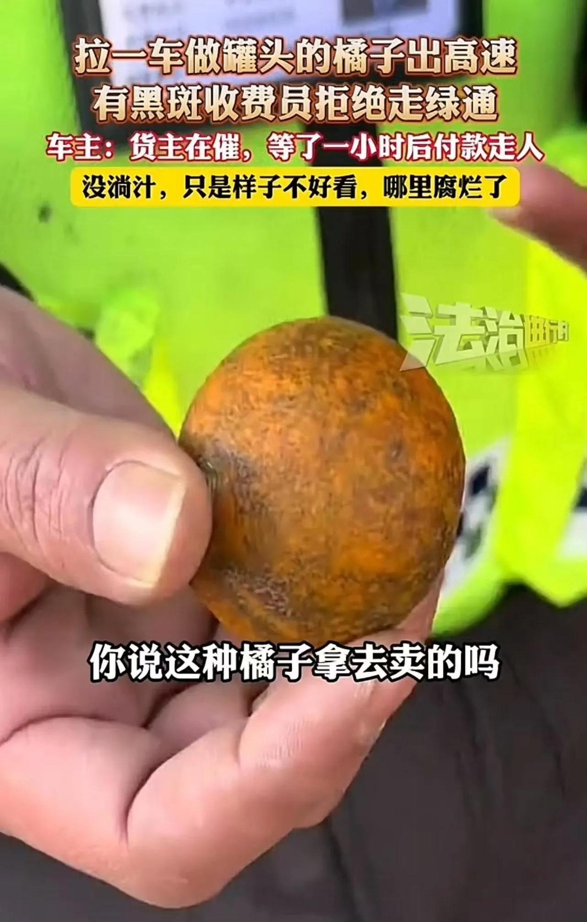 超单助手：高速收费站货车司机因橘子黑斑被罚，绿通政策是否应更灵活？