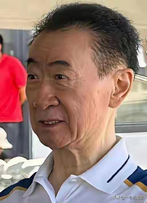 多多出评软件：王思聪怒撕网红EL，舆论风波背后的家庭与形象危机