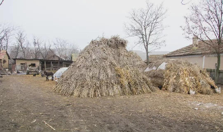 拼多多开团软件：美团为何胜过饿了么？浅析外卖竞争中的关键因素