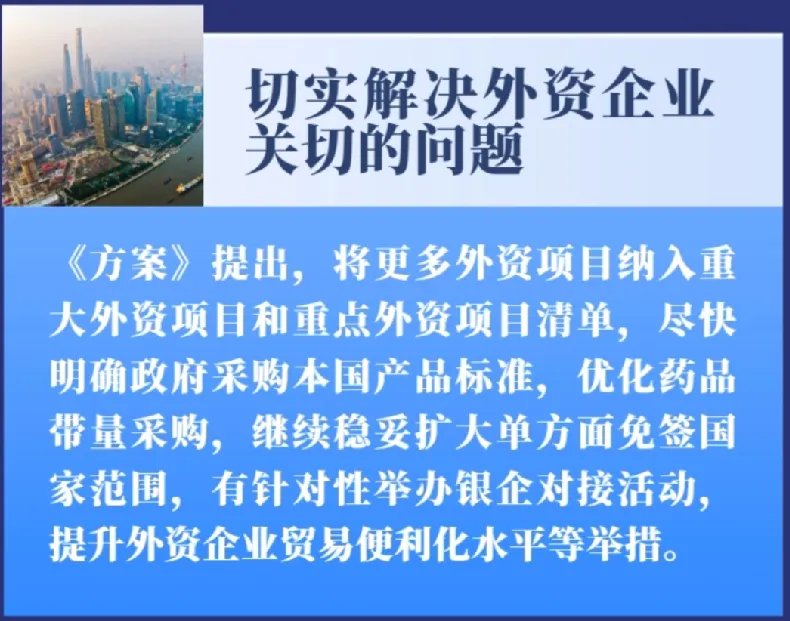 权重大师开团软件：2025年中国稳外资新举措，应对全球经济挑战