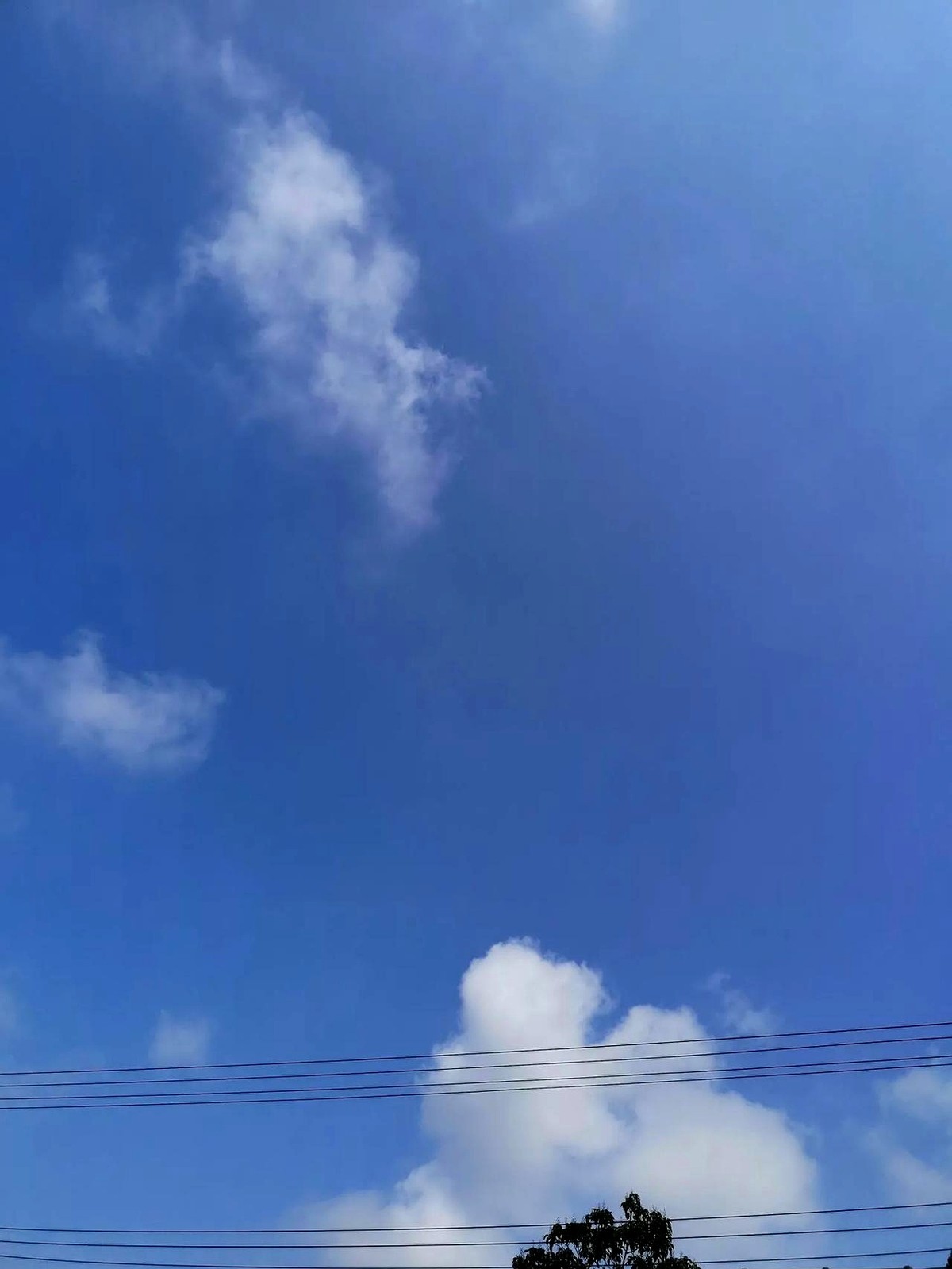 小P助手官网：生活哲学，在崩溃与成长间的思考与反省