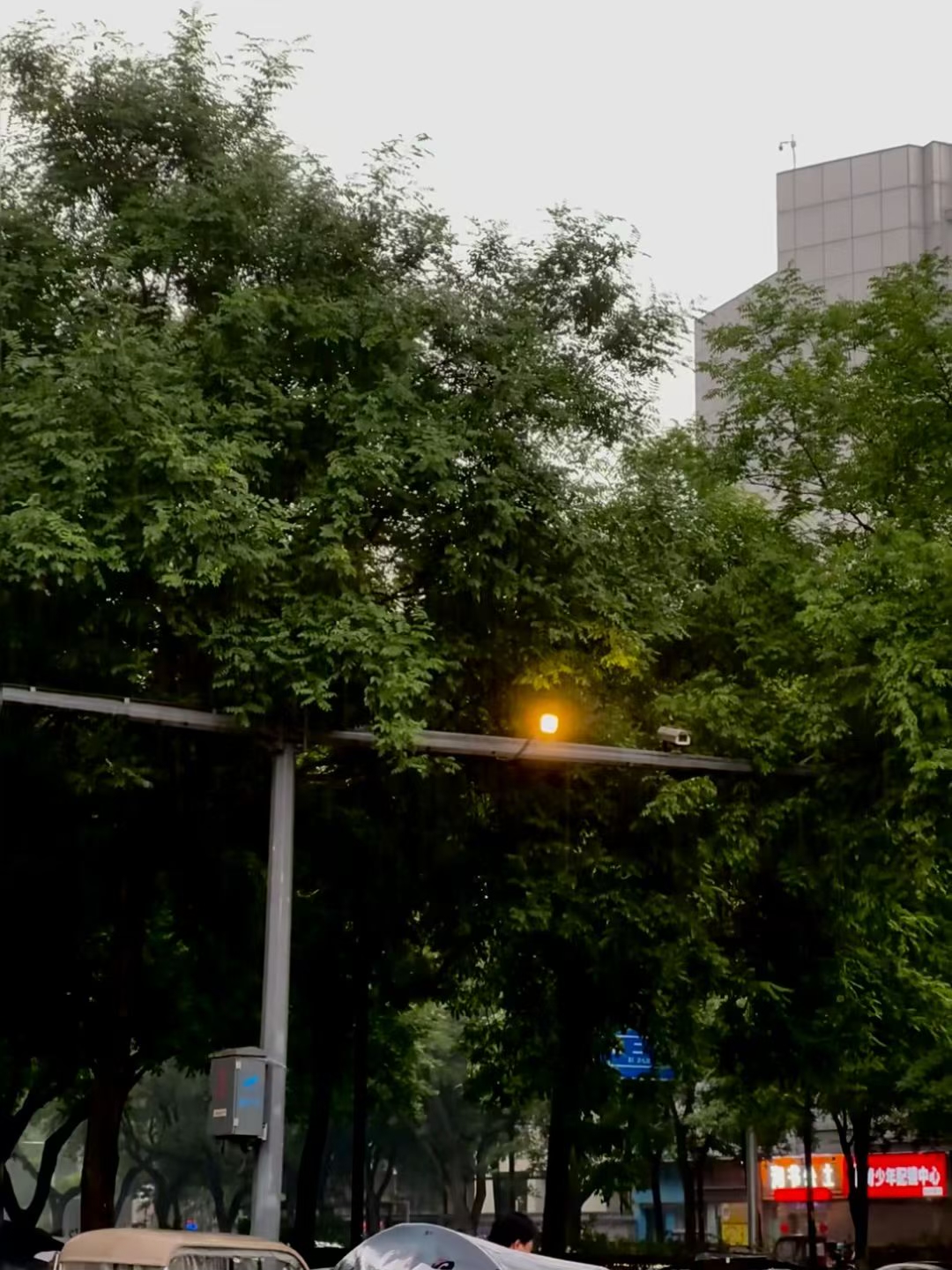 易评助手网站：坚持与优化，亚马逊成功的真正关键是什么？