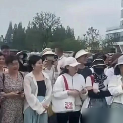 拼多多动销出评出评软件：董宇辉火爆直播，小龙虾背后的家国情怀与助农故事