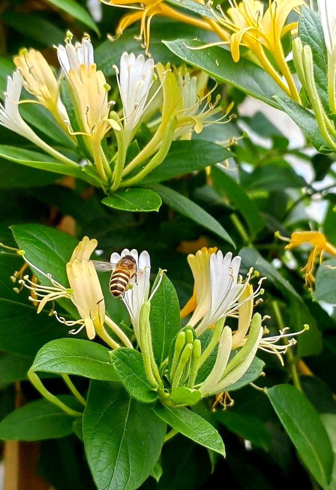 超评助手卡密：坚持创作，耐心等待，自媒体成功的真正秘诀