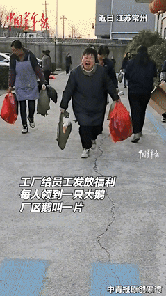 权重大师最新版本：江苏常州工厂年终福利发活鹅，员工欢喜又烦恼引热议！