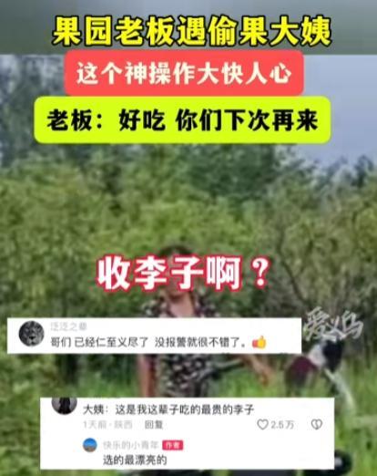 超单助手卡密：智慧与幽默，山东男子巧妙应对果园偷摘事件，化敌为友！