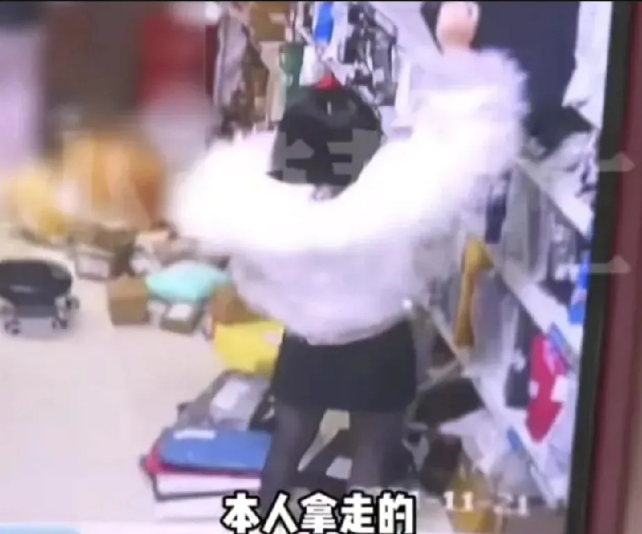语音助手：女子网购后仅退款不退货引发的法律与道德争议