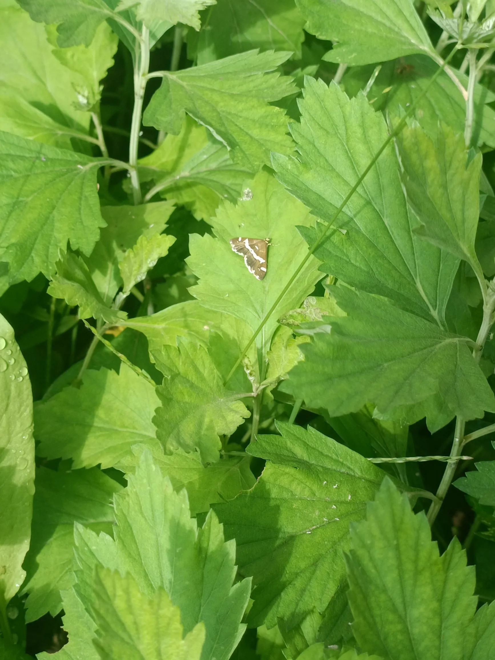 新快火助手：抖店新手必看，避免流量骗局，先做这7个基础设置提升销量！