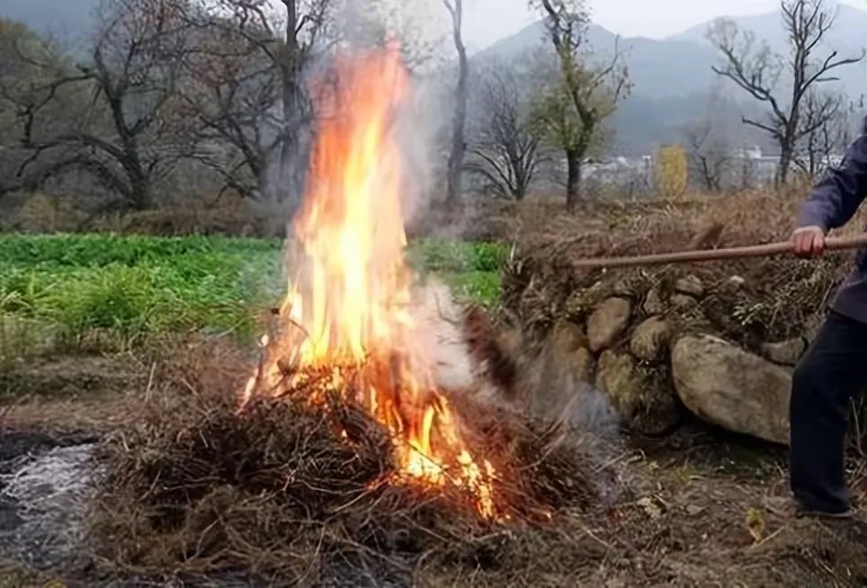 云赞助手：重庆兄弟的洁癖人生，为何选择终身不娶只为一尘不染？