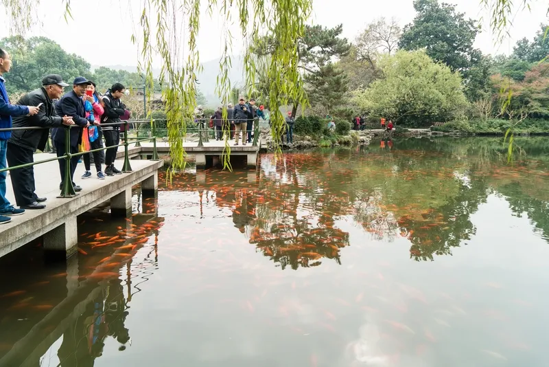 超单助手官网：杭州六小龙崛起的背后，地方政策与人才战略的成功结合