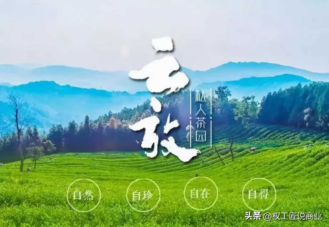 拼多多改销量：颠覆传统，周树明如何通过众筹模式打造5亿茶园