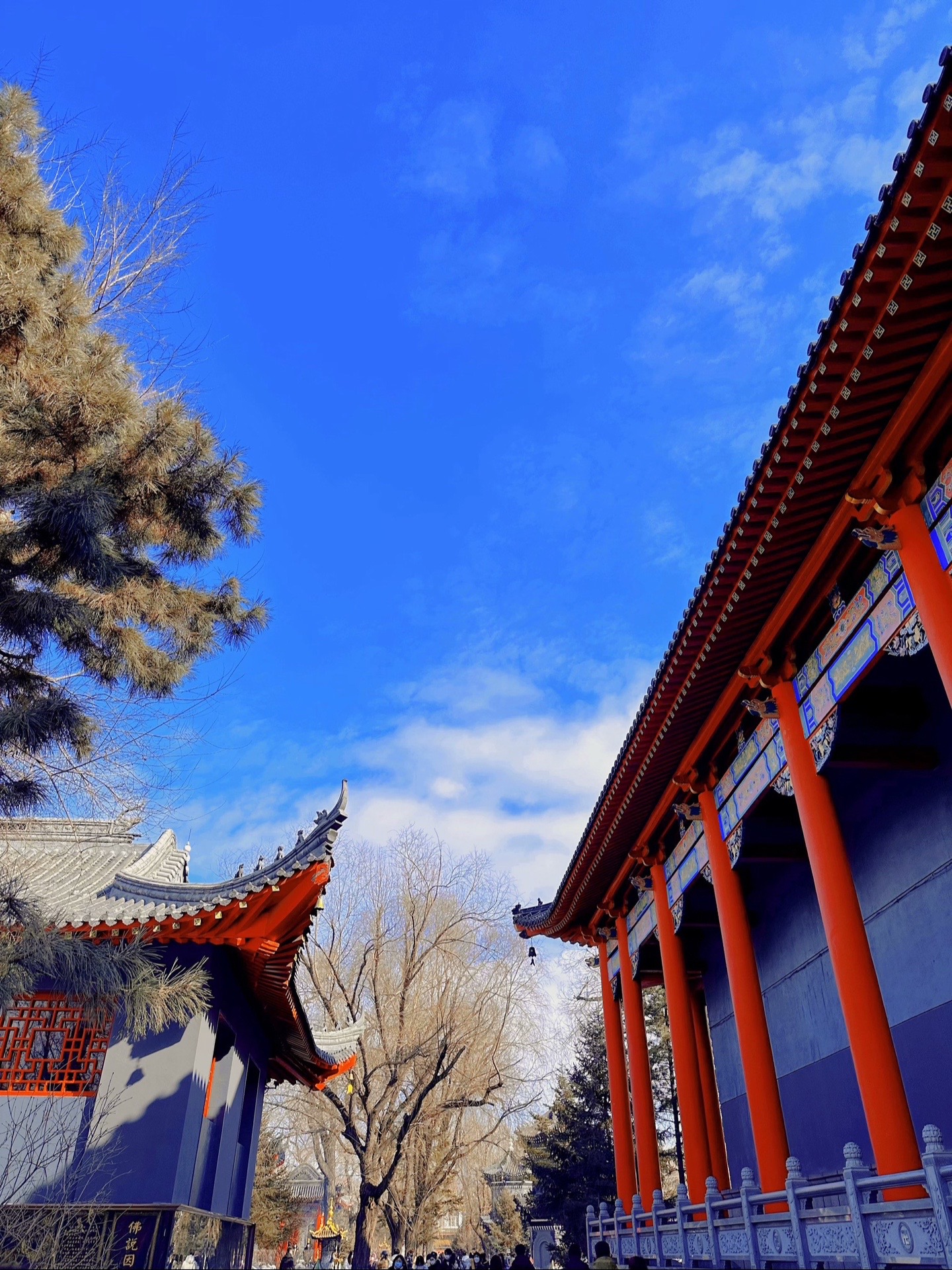 番茄助手：职场成长九字诀，从方向、瓶颈到团队与心态全面提升