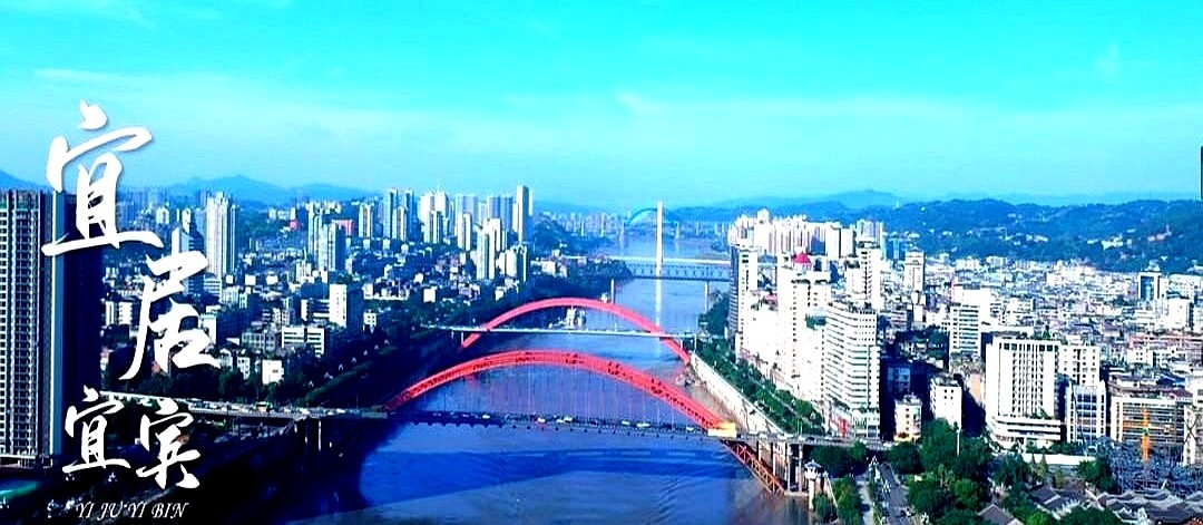 小Z助手：五粮液世界杯联名成功，宁德时代如何借势打开国际市场？