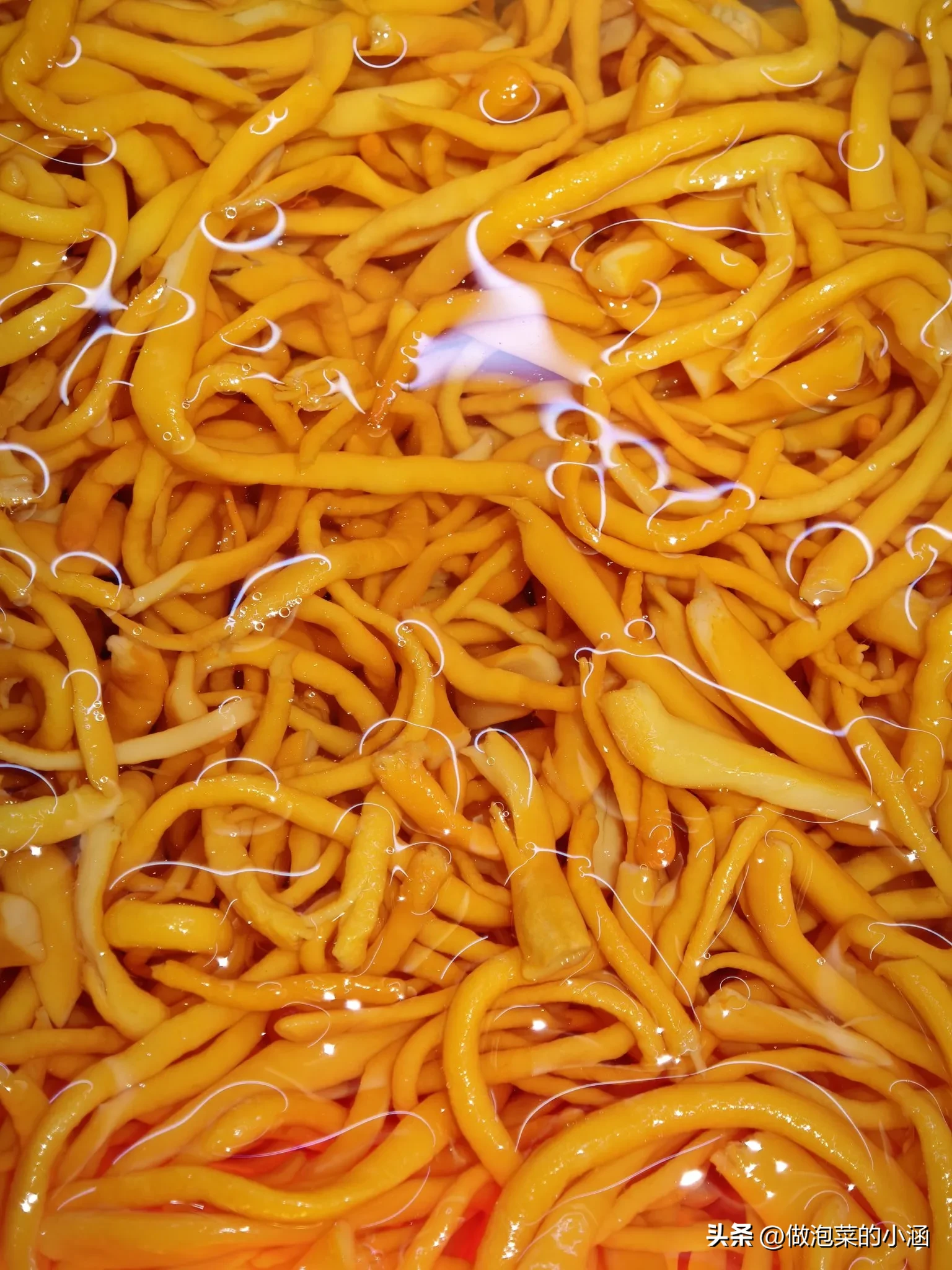 多成团助手：餐饮小白创业指南，如何在6个月内稳住店铺经营与市场推广