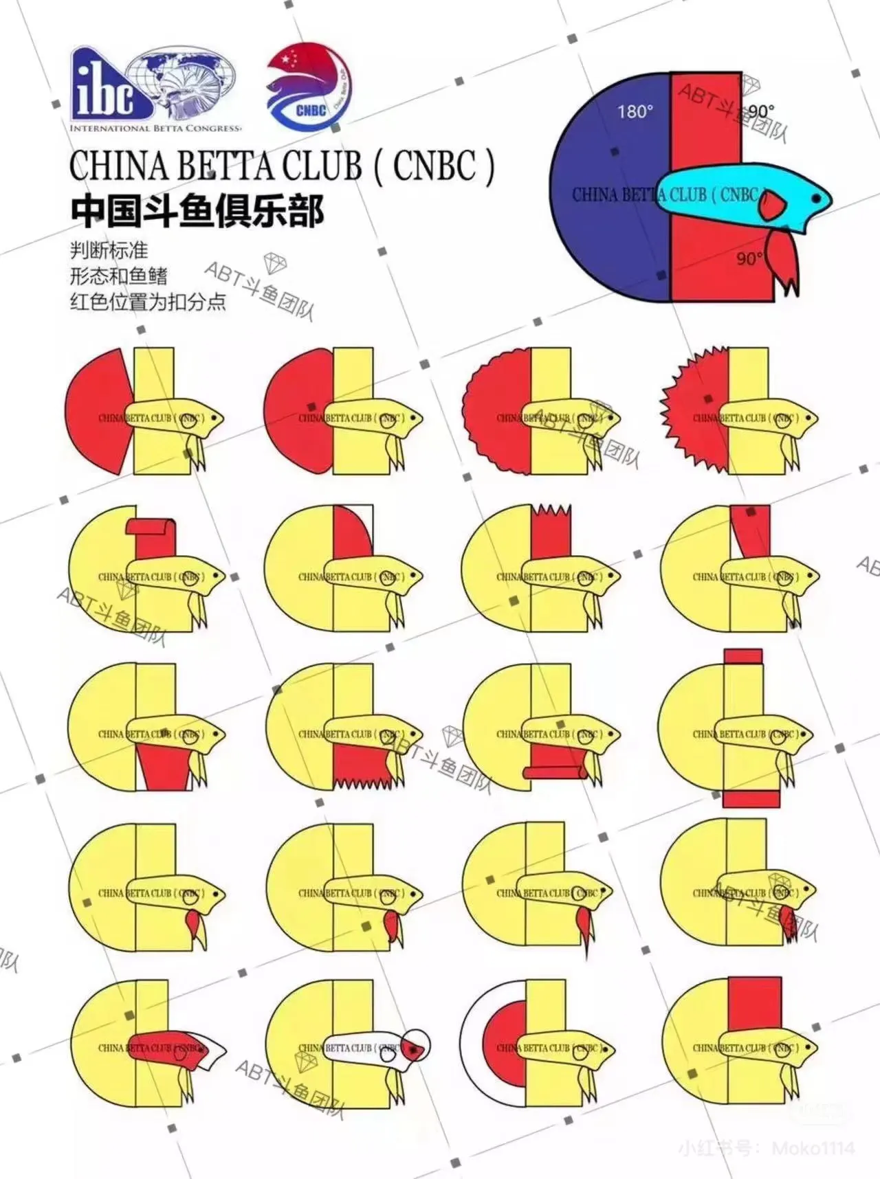 拼多多开团软件：斗鱼比赛形态标准解析，半月斗鱼形态评判与扣分项详解