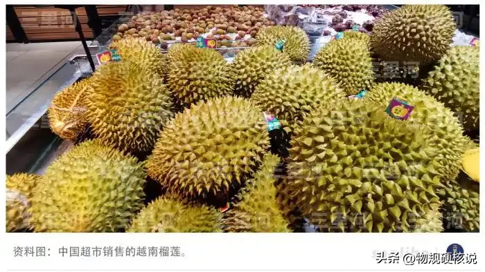小评评助手使用方法：中越榴莲合作升级，三天直达中国超市的物流奇迹与区域经济一体化